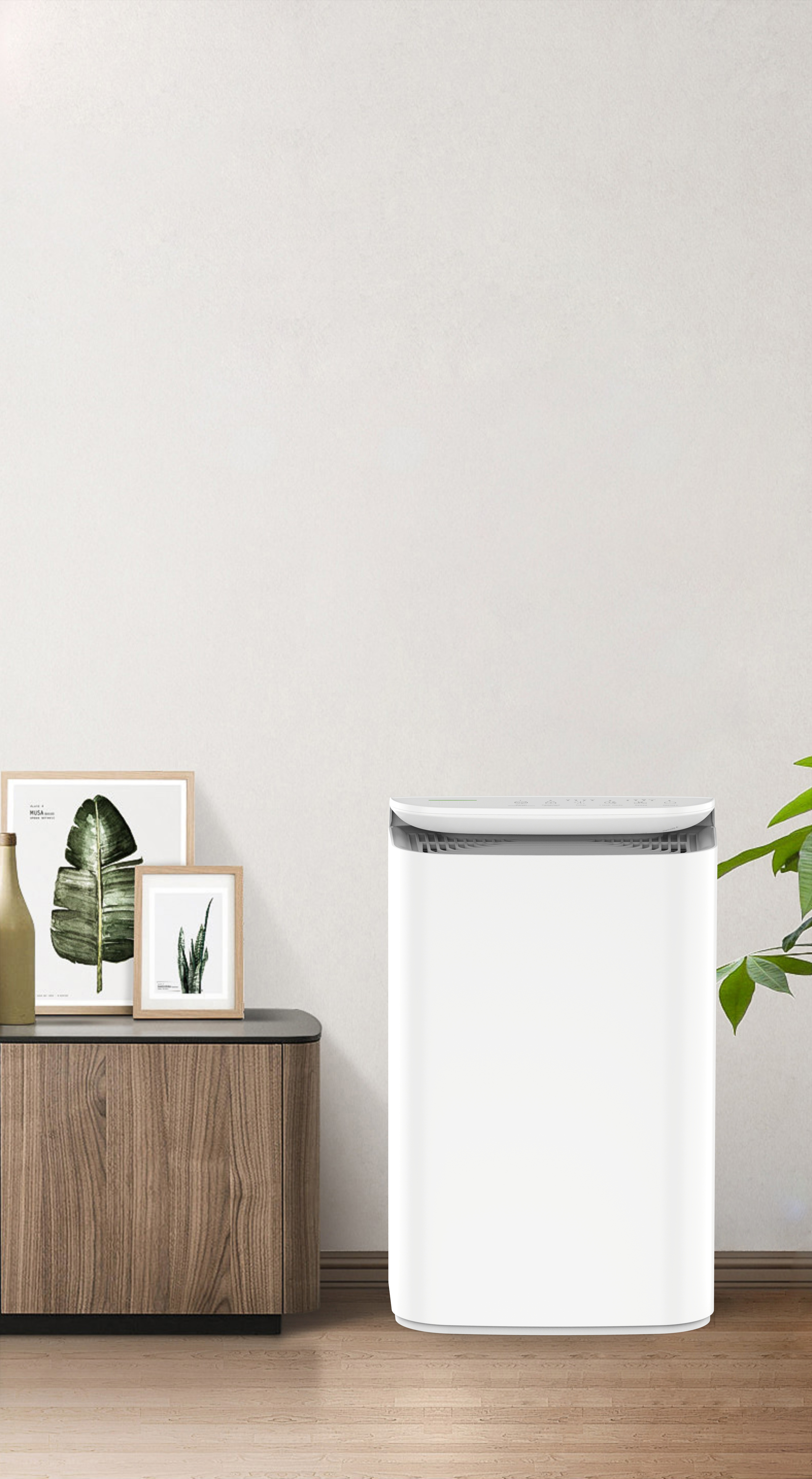 ترقية تقنية أنيون الطازجة من الغابة BKJ-16B