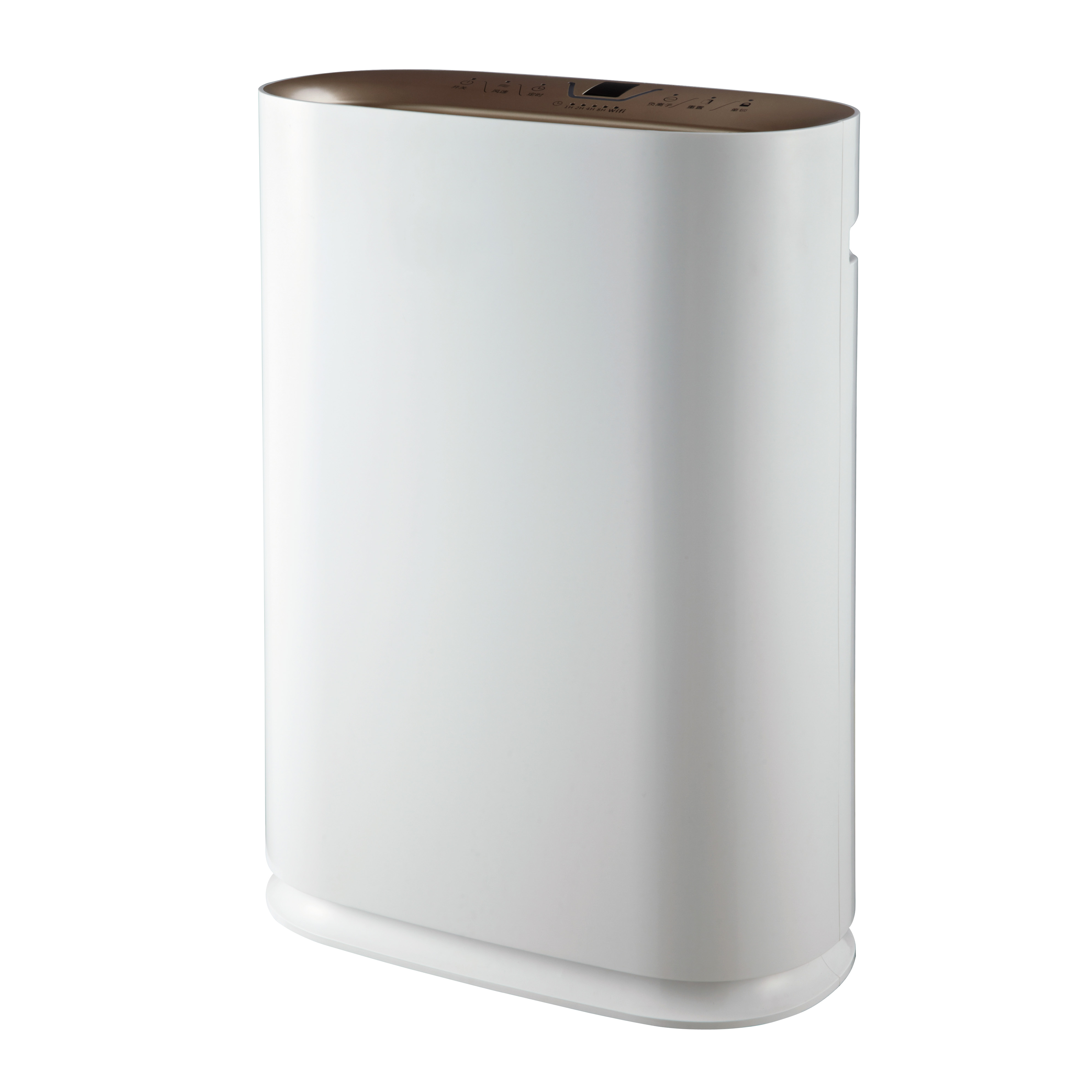 إزالة الفورمالديهايد أفضل ، استمتع بالهواء النقي معظم BKJ-300