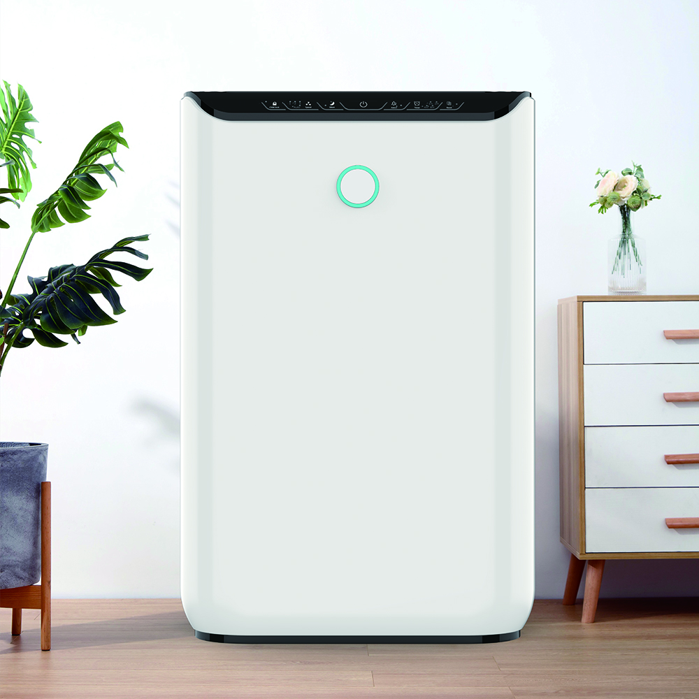 إزالة الفورمالديهايد أفضل ، استمتع بالهواء النقي معظم BKJ-370