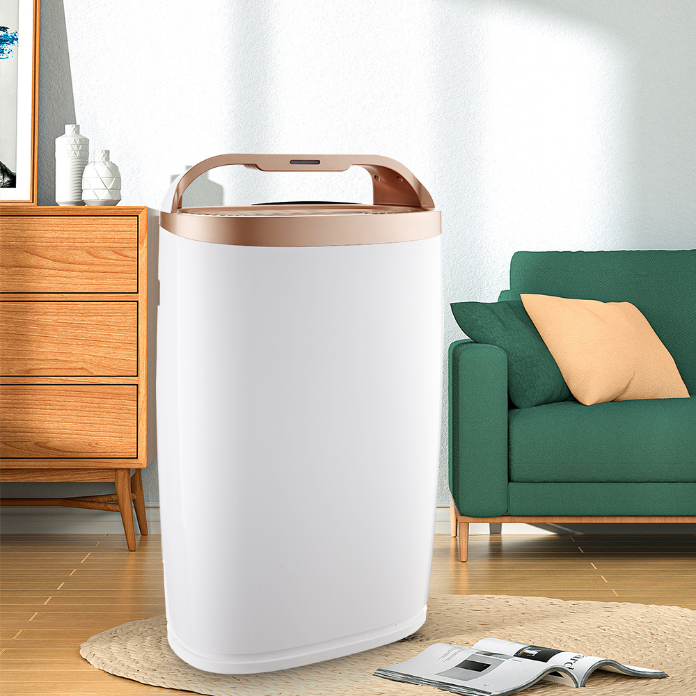 إزالة الفورمالديهايد أفضل ، استمتع بالهواء النقي معظم BKJ-306A